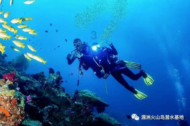 迷人的妖精